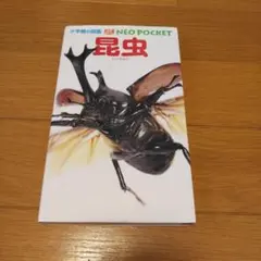 Item thumbnail for item 36c6bee0-02ab-488a-9aff-4137eb9964d8