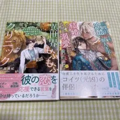 bl小説纏め売り 大判サイズ 2026年最新】bl小説の人気アイテム - メルカリ