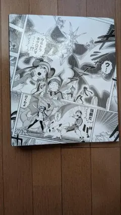 ポケモンカードゲーム コレクションファイル
