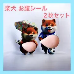 お腹シール ぷにぷに シール 2枚セット 柴犬 サッカー 日傘 ステッカー ②