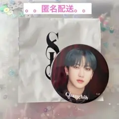 Stray Kids スキズ チャンビン　popup クリスマス　缶バッジ