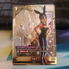 最安値‼️高騰中❗ブルマUCパラレル‼️