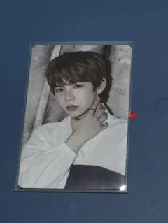 RIIZE ショウタロウ シーグリ MD トレカ