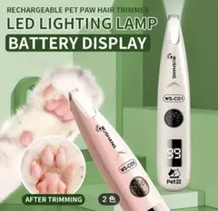 Item thumbnail for item fd062422-f5b5-4116-97e1-f8bc2ed97c00