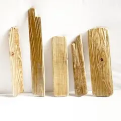 Item thumbnail for item 173c59e8-9fa9-4877-969d-796971a3d800