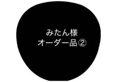 【専用】 みたん様 オーダー品 高橋