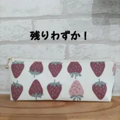 ★SALE★いちご柄のペンケース