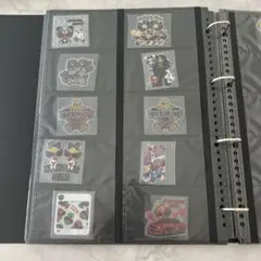 アメステ　ヒスミニ ②