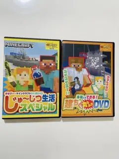 Minecraft DVD2枚セット