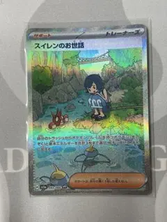 ポケモンカード スイレンのお世話 SAR