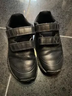 Item thumbnail for item 19e05b07-bc3e-4a3e-b93e-8cde99b393d2