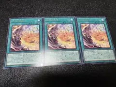 遊戯王　烙印の気炎　3枚