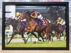 Item thumbnail for item fc1af4bf-20a6-4b40-8e8f-26381f04fbe3