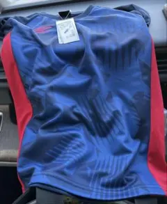 Item thumbnail for item d841dbb1-7ce1-4db0-920d-1afd3d47c1b4