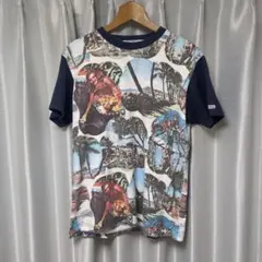Sun Surf ヴィンテージ風 ピクチャープリント Tシャツ　東洋のサムネイル