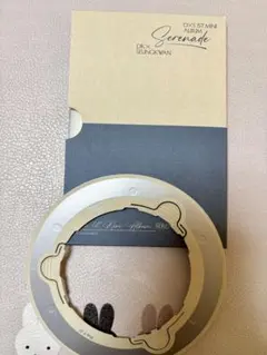 DxS Mini Album Serenade seventeen