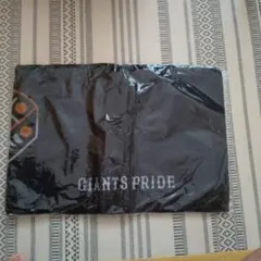 Item thumbnail for item 0753edcc-513a-4438-9a13-a16a2189b3ae