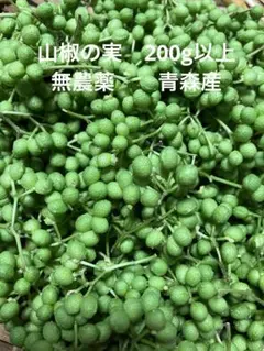 11天然 山椒の実 200g以上 採りたて 青森産 - メルカリ