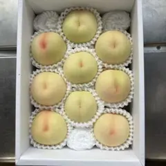 <産直>岡山一宮産桃 おかやま夢白桃 現品限り！進物用 8個入り 産直>岡山一宮産桃 おかやま夢白桃 現品限り！進物用 8個入り - メルカリ