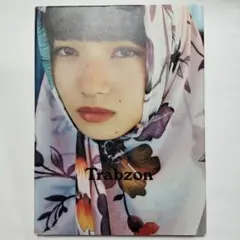 Item thumbnail for item 558e4753-0bf4-4f9c-84b4-259a64766cd5