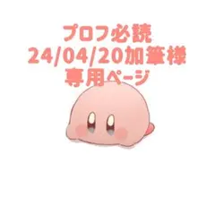 【プロフ必読・24/04/20加筆 様】専用ページ