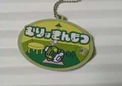 むりはきんもつ ラバーチャーム
