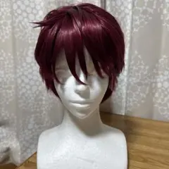 2025年最新】天堂天彦 ウィッグの人気アイテム - メルカリ