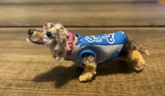 Item thumbnail for item aa1f65b1-86fe-40de-892d-922a0a8b1b1c