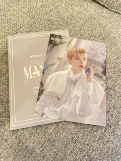 Stray Kids スキズ ヒョンジン ランダムトレカ