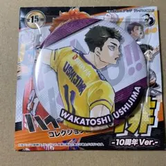 ハイキュー！！　コレクション缶バッジ　排　牛島