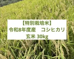 ★新米★ 令和8年度産 特別栽培米 京都産 コシヒカリ 玄米 30kg