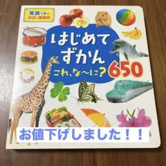 お値下げしました！！はじめてずかん これ、な〜に？650