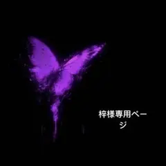 梓様、専用ページ