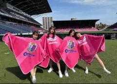 Cerezo Osaka フリースポンチョ YANMAR セレッソ大阪　着る毛布