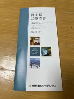 東急不動産ホールディングス 株主優待券　未使用品　500株以上