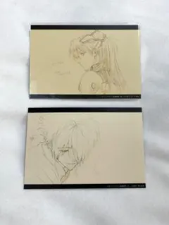 エヴァ　渚カヲル アスカ・ラングレー　ポストカード 原画
