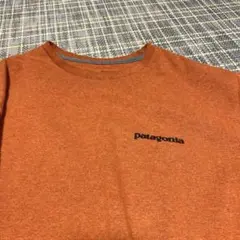 パタゴニア Tシャツ