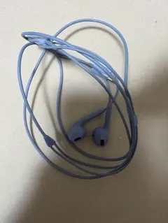 ブルー 有線イヤホン インイヤー型
