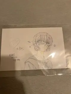 原画 ポストカードBOX エヴァンゲリオン 1/40 綾波レイ ガーゼ 30周年