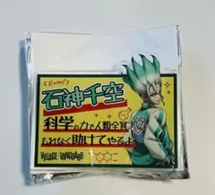 Dr.STONE 石神千空 ヴィレヴァン アクリルネームバッジ