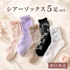 シースルー シアーソックス レースソックス ガーリーソックス 花柄 北欧 レトロのサムネイル