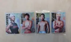 RIZINウエハースカード