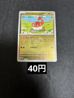 シャリタツ　ミラー　在庫１