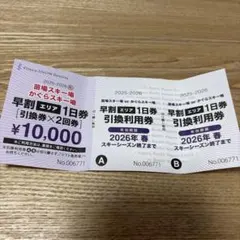 苗場・かぐらスキー場 早割1日券×2枚　25-26 リフト券のサムネイル