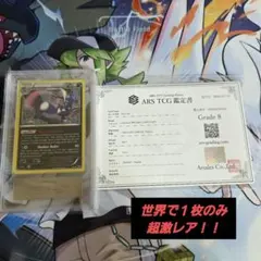 ポケモンカード 英語版 海外限定 アーゴヨン&アクジキングGX SR SAR