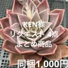 KEN様 リクエスト 4点 まとめ商品