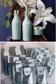 イグニスホワイトニングエフフォーリア３種　サンプル