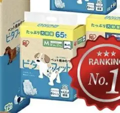 Item thumbnail for item 6c1641ea-a746-4fa5-b6ae-40427658d765