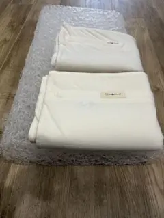 【美品】ブレインスリープピロー　スタンダードタイプ カバー付き◎のサムネイル