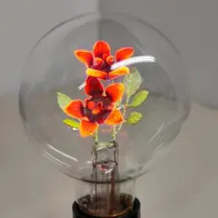 レトロ　電球　チャーム　フラワー　ランプ　百合　赤